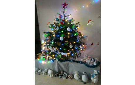 NOËL